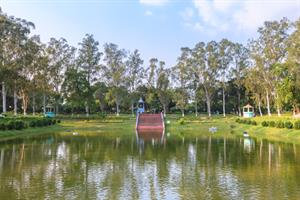 Rajgir – Bodhgaya (80 Km / 2 Hrs)