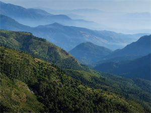 Ooty Excursion – Pykara, Pine Forest & Romantic Landscapes