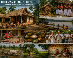  Chitwan Sightseen (Canoeing, Elephant Breeding Center, Jeep Safari)