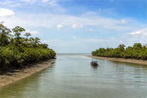 Sundarban Tiger Reserve Surrounding along Dayapur Village 