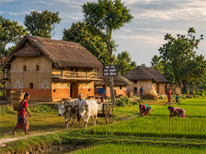 Butwal – Chitwan(140-160 km / 4-5 hrs) Village Cultural Tour