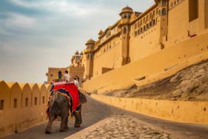 Jaipur Full Day Sightseen