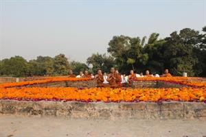  Lumbini - Shravasti