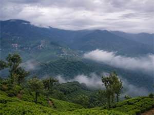  Bandipur – Ooty via Scenic Hill Road( 50–60 km / 2.5–3.5 hours)